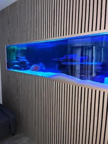 פרסטאטין Terfyn Hall Aquarium Apartment 1 מראה חיצוני תמונה